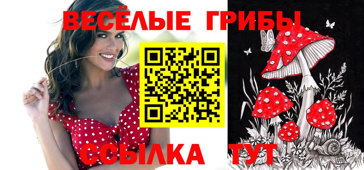 где купить наркоту  Псилоцибиновые грибы Psilocybe  Богородск  Вход с VPN  Псилоцибиновые грибы MAGIC MUSHROOMS 