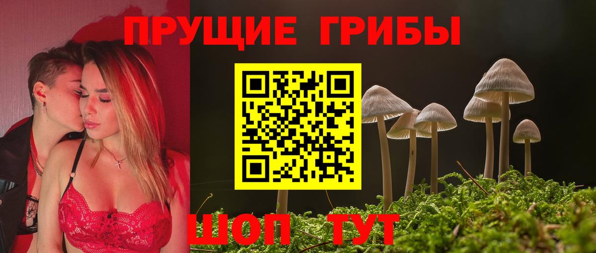 Галлюциногенные грибы мицелий Богородск